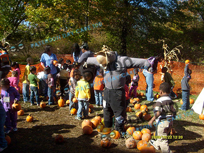 Pumpkin-Picking-3