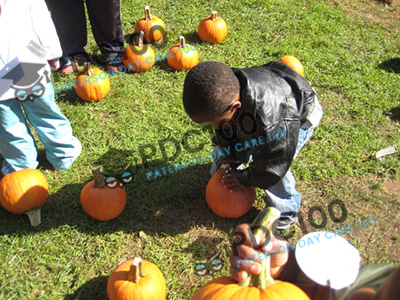 Pumpkin-Picking